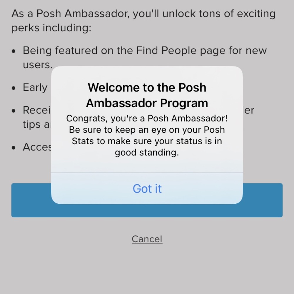 🎖🎖POSH AMBASSADOR ✨✨ - Picture 2 of 5